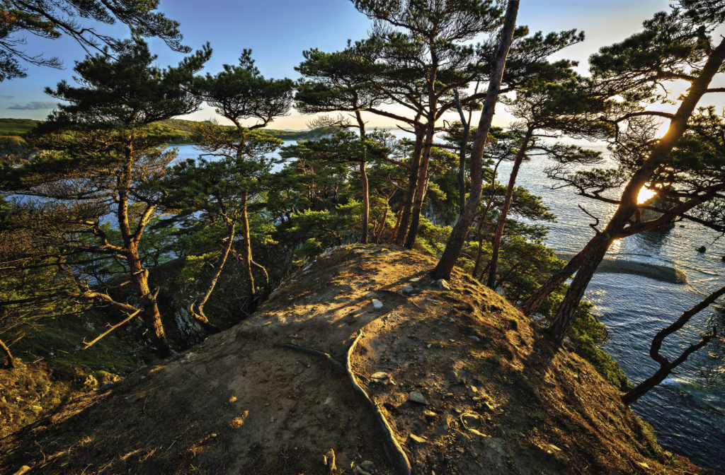 Dawn at picturesque Cape Sosnovy (Pine Tree) on the Gamov Peninsula in the Khasansky district. The cape is an iconic feature of the marine nature reserve. It has one of the biggest Largha seal rookeries in Peter the Great Bay.