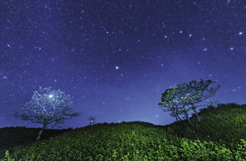 The Krabbe Peninsula in the Khasansky district. The deep night sky is studded with a myriad of bright stars. Such beauty can be observed along the whole coast of the Sea of Japan, far from any city.