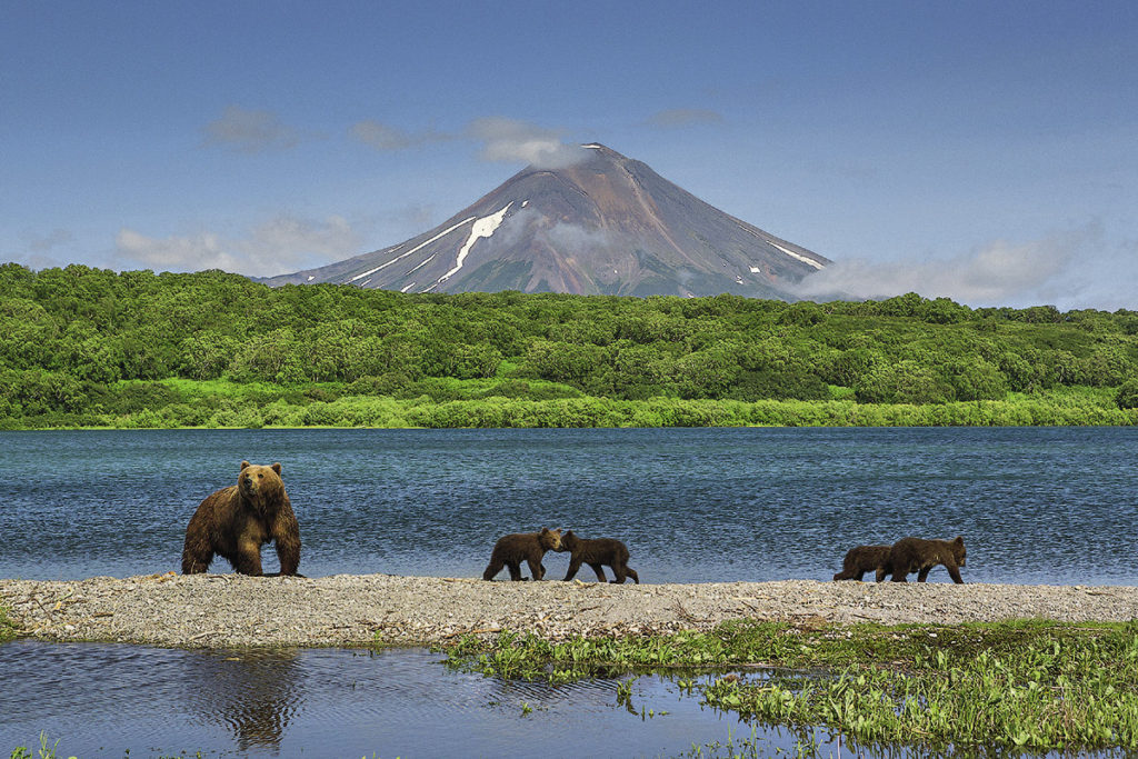 You can watch and photograph the Kamchatka bears at very close range.